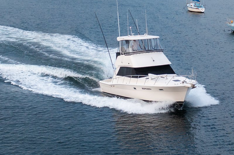 Highland 250724 0207